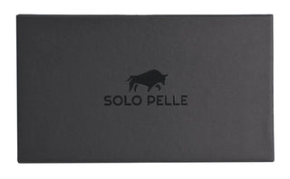 Solo Pelle kompatibel für das iPhone X/XS Case Lederhülle Ledertasche Wallet Tasche in Nude Rosa