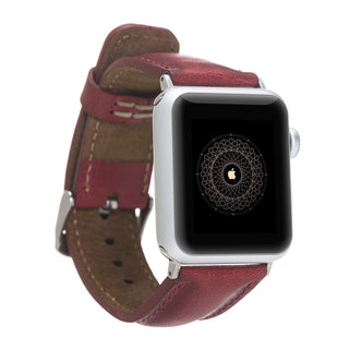 IW-42-V4EF-Silver