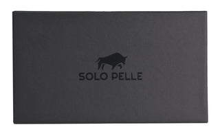 Solo Pelle Lederhülle für das iPhone 11 Pro in 5.8 Zoll Stanford Case Leder Hülle Ledertasche Backcover aus echtem Leder