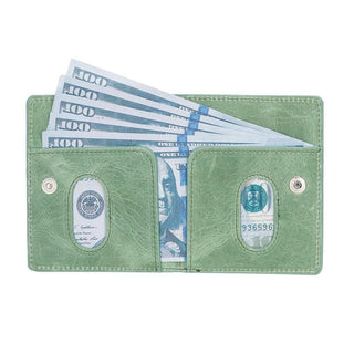 Robin Wallet FL1