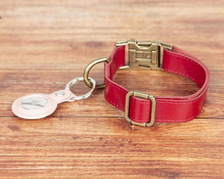 Scobby Leather Dog Collar Bouletta
