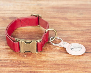 Scobby Leather Dog Collar g22 Bouletta